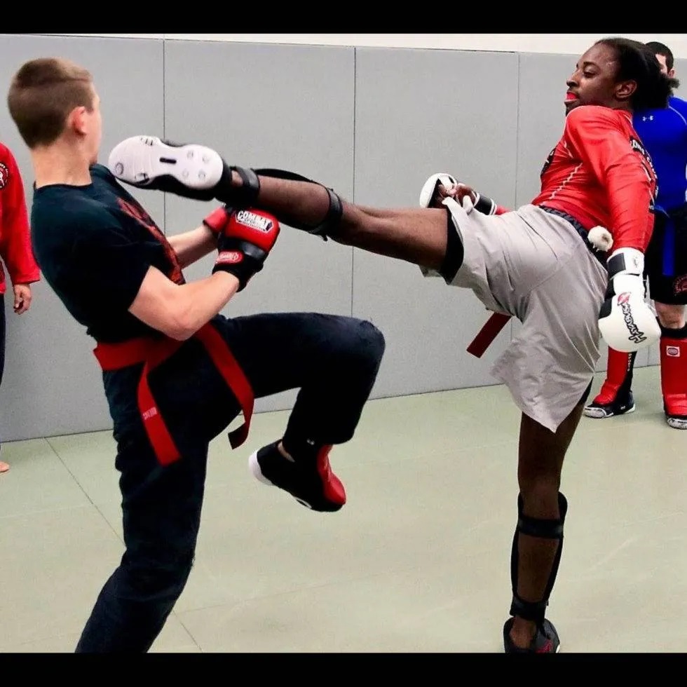 Martial Arts Classes In Minnesota